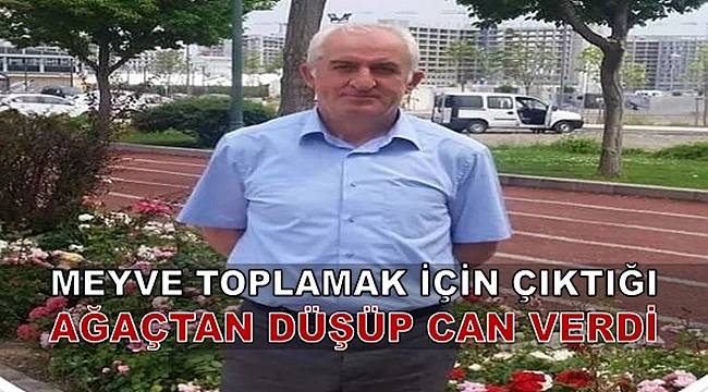 Ordu'da ağaçtan düşen polis memuru hayatını kaybetti