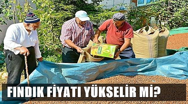 Ordu&#039;da bugün fındık kaç TL oldu