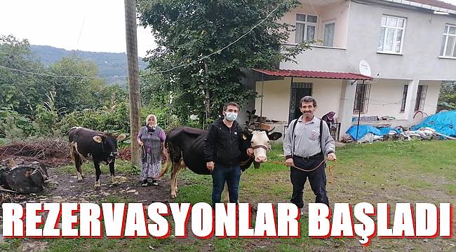 Ordu&#039;da Hayvan Oteli yeni sezona hazır