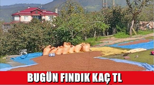 Ordu'da serbest piyasada fındık fiyatları ne kadar oldu
