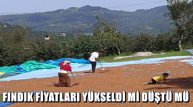 Ordu'da serbest piyasada fındık fiyatları ne durumda