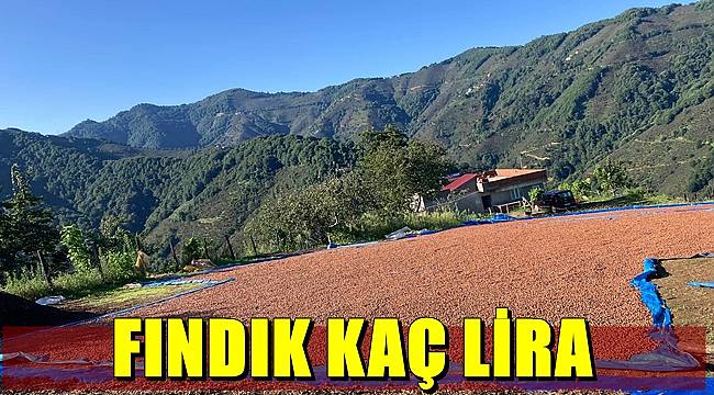 Serbest piyasada fındık fiyatları artacak mı