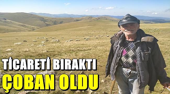 Ticareti bıraktı çoban oldu
