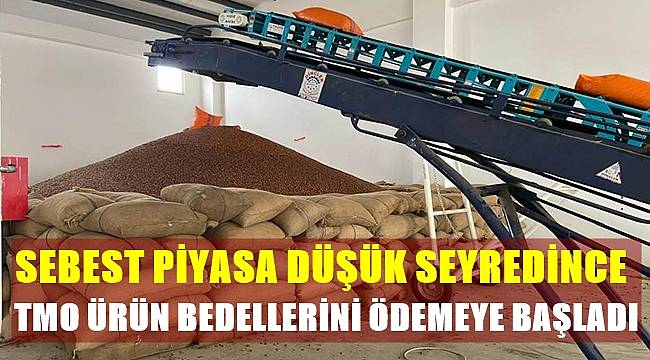 TMO fındık bedellerini ödemeye başladı