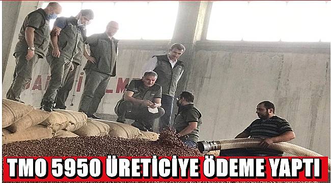 TMO fındık bedellerini ödüyor