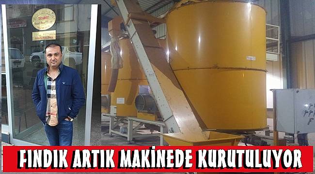 1 ton fındık 1250 TL&#039;ye kurutuluyor