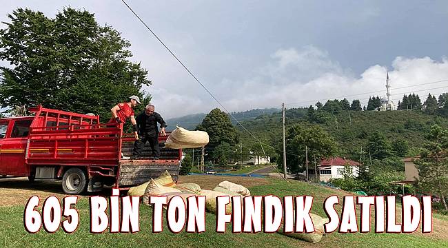 En çok fındık Ordu Ticaret Borsası&#039;nda işlem gördü