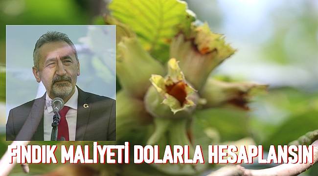 Fındık fiyatı kaç lira oldu. Fındık fiyatları dolarla belirlensin