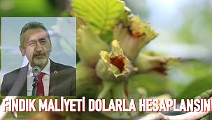 Fındık fiyatı kaç lira oldu. Fındık fiyatları dolarla belirlensin