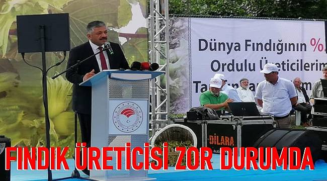 Fındık fiyatları üreticiyi zor durumda bıraktı
