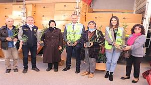 Fındık üreticilerine mavi yemiş ve aronia fidanı dağıtıldı