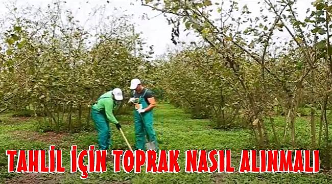 Fındık üreticisine toprak tahlili uyarısı
