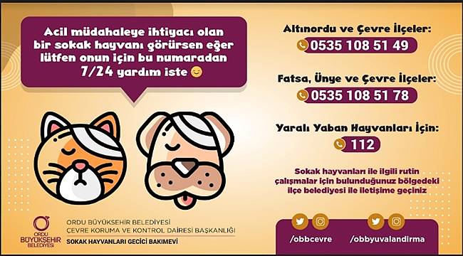 Ordu Büyükşehir Belediyesi Sokak Hayvanları Geçici Bakımevi