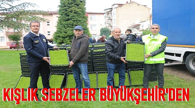 Ordu'da sadece fındık yok!