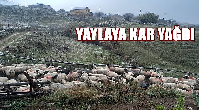 Ordu'da yaylalara kar yağdı
