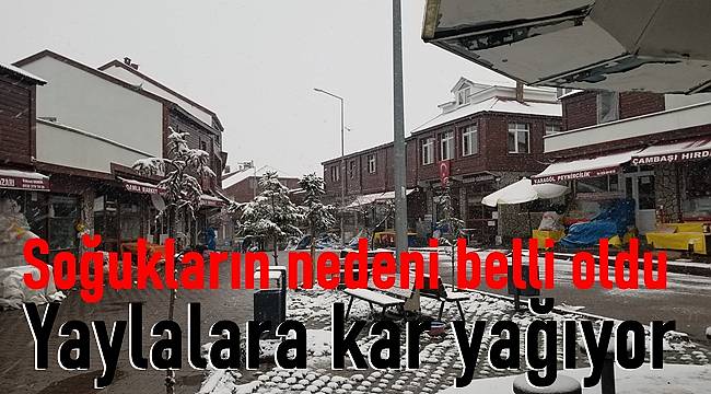 Ordu'da yükseklere kar yağdı