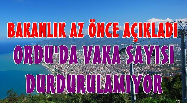 Ordu vaka sayısında rekora gidiyor