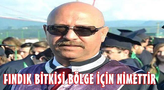 Prof. Dr. Aşkın; Fındık bitkisi ürün vermese dahi desteklenmelidir
