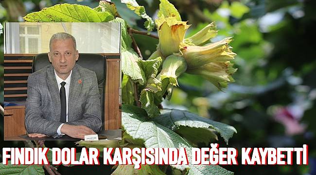 Şensoy: Fındık fiyatı 30 TL olarak revize edilmeli