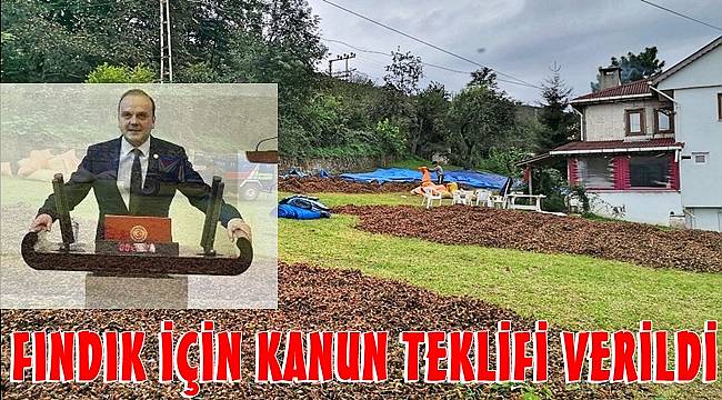 Tığlı: Fındık fiyatları hasat mevsimi öncesi açıklanmalı