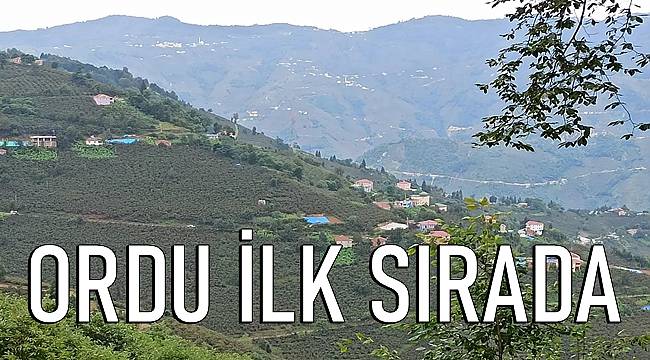 Türkiye'de fındık yetiştirilen iller