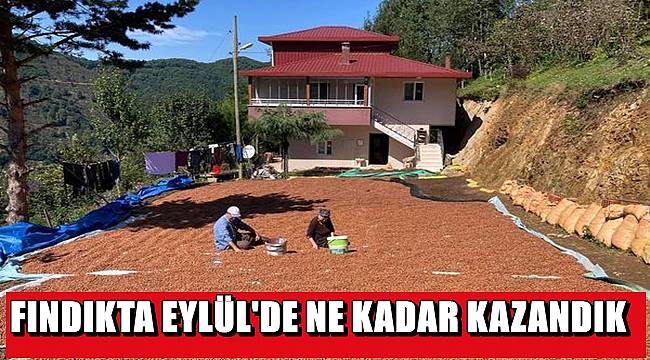 Türkiye Eylül'de ne kadar fındık ihraç etti