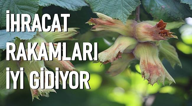 Türkiye'nin fındık satışı iyi gidiyor