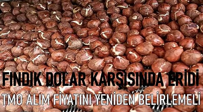 Fındık kaç TL oldu. Serbest piyasada fındık fiyatları