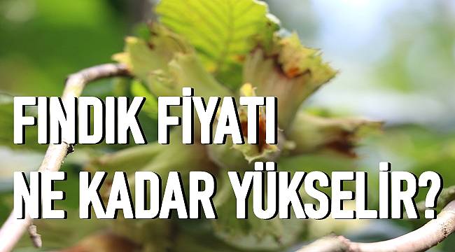 14 Kasım Pazar fındık fiyatları