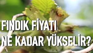 14 Kasım Pazar fındık fiyatları