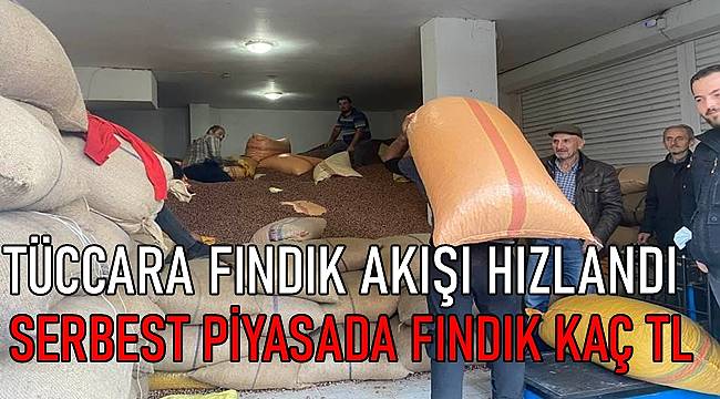 19 Kasım Cuma Fındık fiyatları