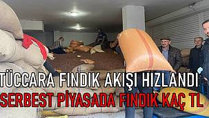 19 Kasım Cuma Fındık fiyatları