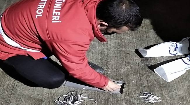 20 ton hamsiye el kondu