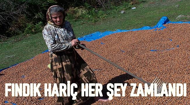 6 Kasım Cumartesi Ordu Fındık Fiyatları