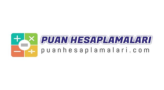 Ales Puan Hesaplama ALES NEDİR