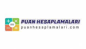 Ales Puan Hesaplama ALES NEDİR