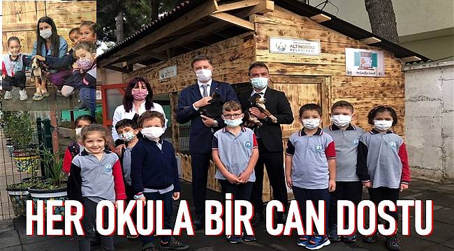 Altınordu İlkokulu&#039;nun artık bir köpeği var