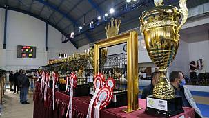 Balıkesir Edremit'te Yorkshıre Güzellik Yarışması yapıldı