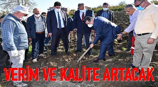 Bin dönüme 40 bin fındık fidanı dikilecek