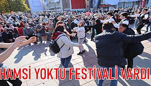 Fatsalılar Hamsi Festivali'nde coçtu