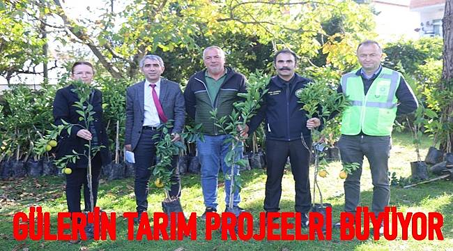 Fındık bahçelerinde narenciye yetişecek