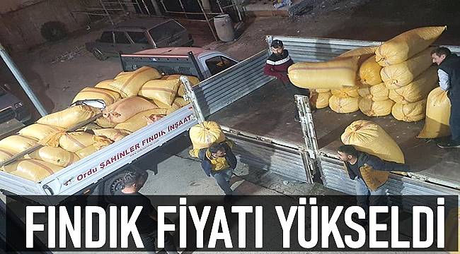 Fındık fiyatı kaç TL oldu. 11 Kasım Perşembe fındık fiyatları