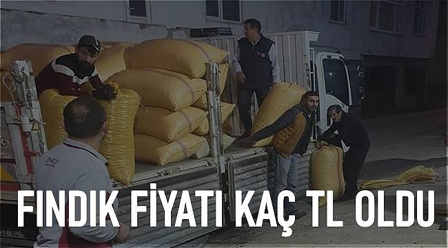Fındık fiyatları Fındık kaç TL oldu