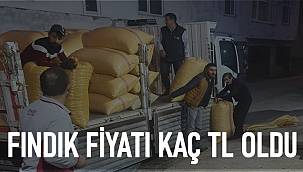 Fındık fiyatları Fındık kaç TL oldu