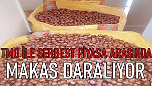 Fındık fiyatları yükseldi. 22 Kasım Pazartesi serbest piyasada fındık fiyatları