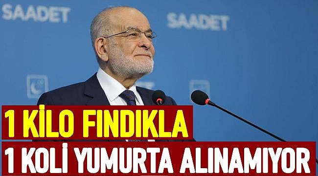 Fındık üreticisi 0.68 dolar kaybetti