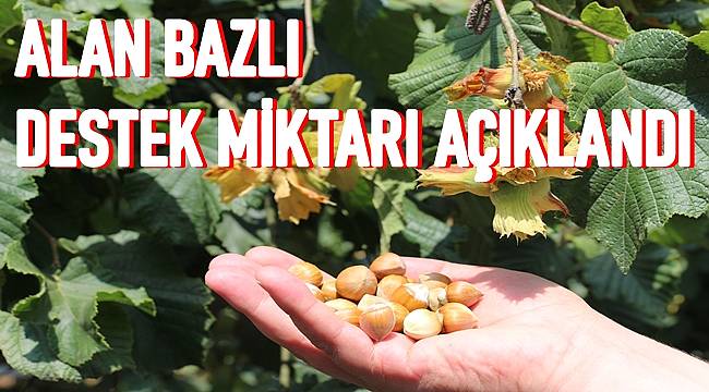 findik ureticisine 170 tl destek verilecek ordu gazete
