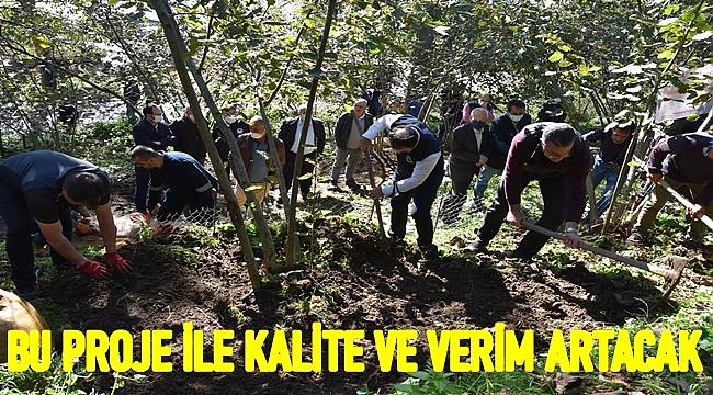 Fındık Yetiştiriciliğinde Cep Teras Projesiyle fındıkta kalite ve verim artacak