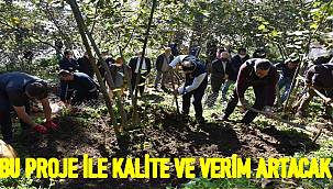 Fındık Yetiştiriciliğinde Cep Teras Projesiyle fındıkta kalite ve verim artacak