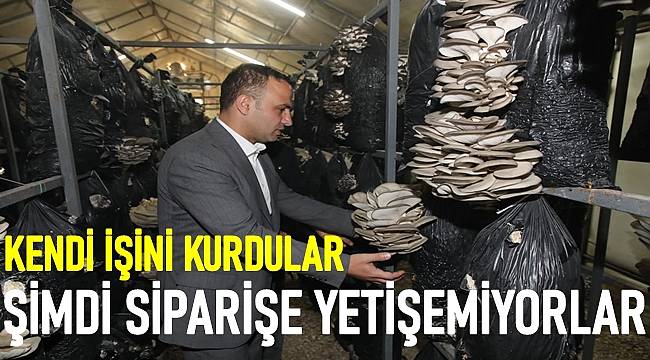 Genç çiftçi projesiyle mantar tesisi kurdular